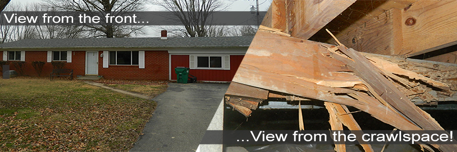 home sale termite inspection